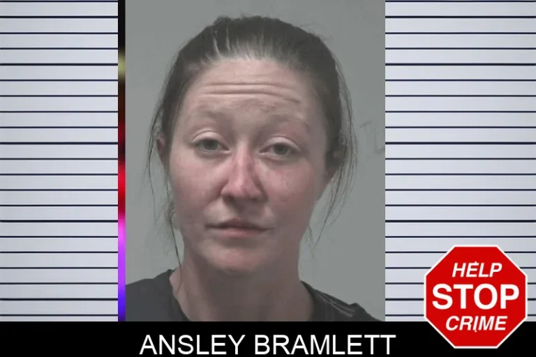 Ansley Bramlett