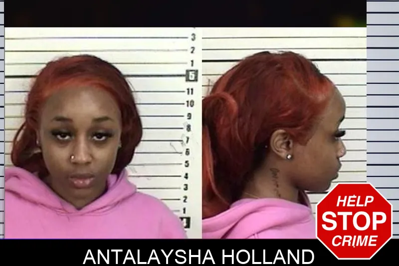 Antalaysha Holland mugshot