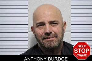 Anthony Burdge mugshot