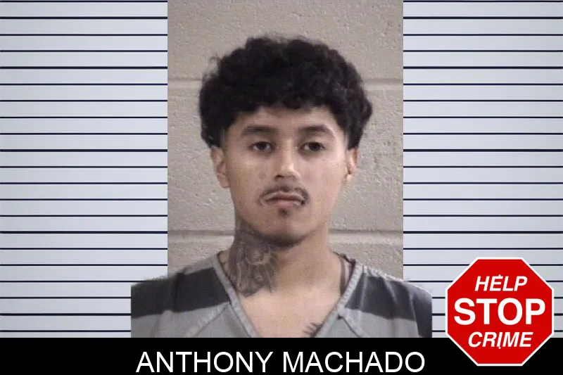 Anthony Machado Mugshots