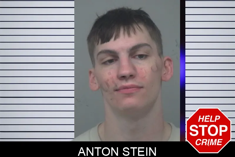 Anton Stein mugshot – Gwinnett County , Georgia Anton Stein mugshot