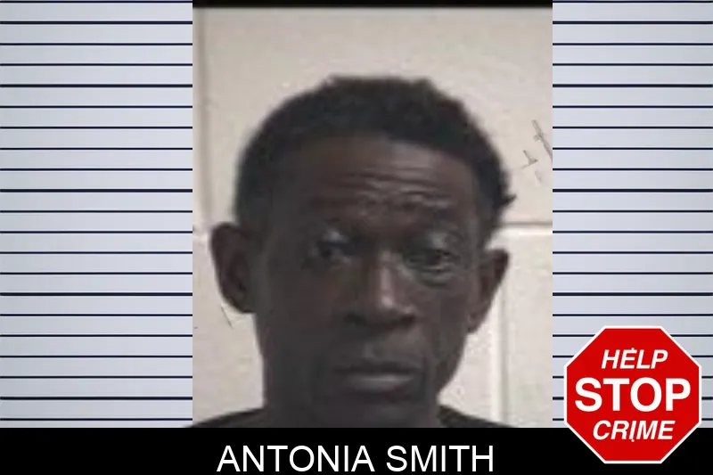 Antonia Smith mugshot – Henry County , Georgia Antonia Smith mugshot