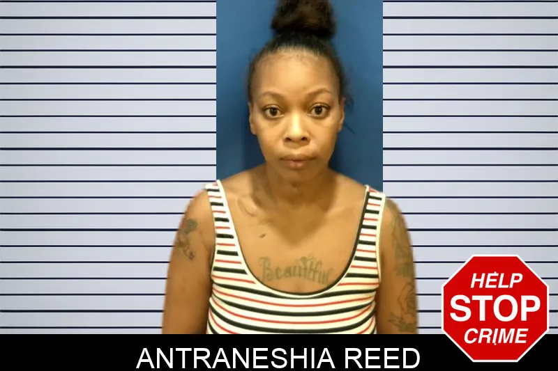 Antraneshia Reed Mugshots