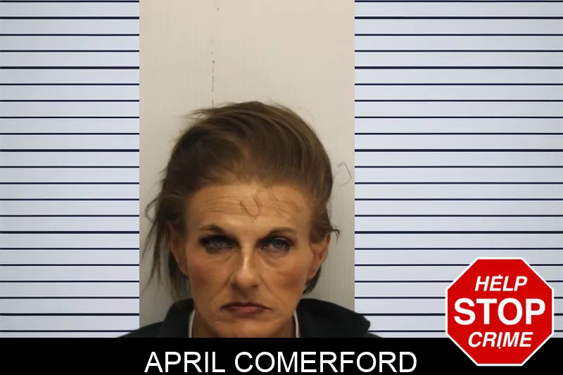 April Comerford mugshot – Chatham County , Georgia April Comerford mugshot