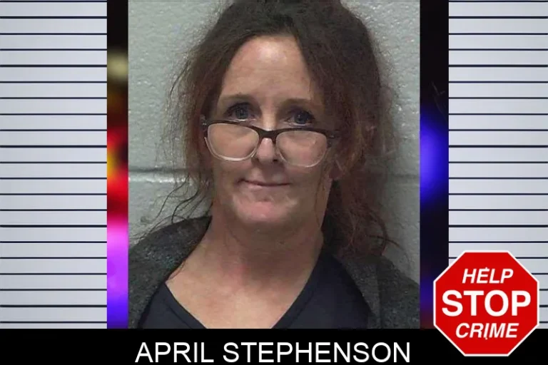 April Stephenson mugshot β Gilmer County , Georgia April Stephenson