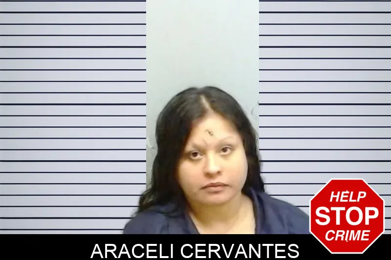 Araceli Cervantes mugshot