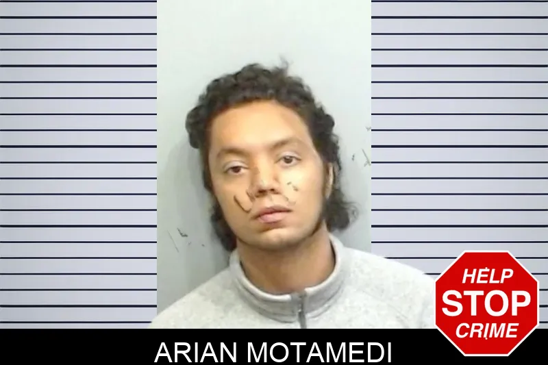 Arian Motamedi mugshot – Fulton County , Georgia Arian Motamedi mugshot