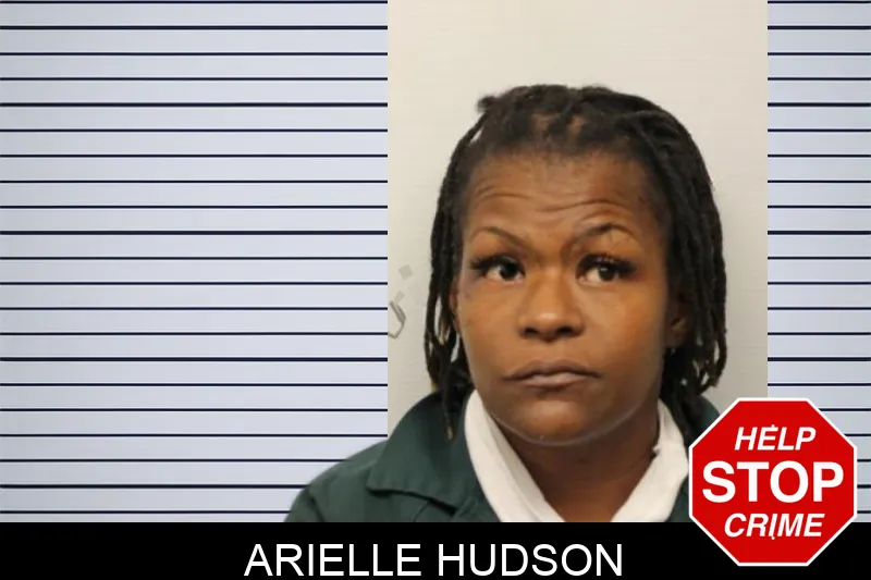 Arielle Hudson mugshot – Chatham County , Georgia Arielle Hudson mugshot