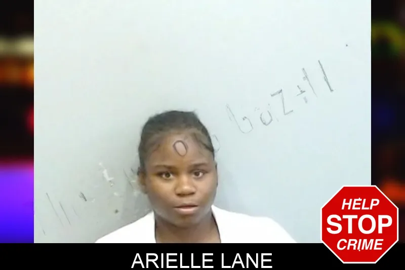 Arielle Lane mugshot