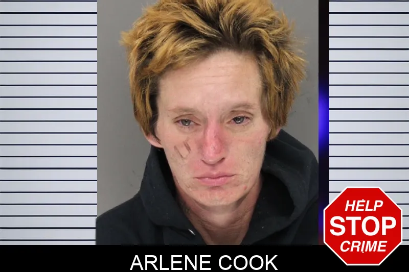 Arlene Cook Mugshots