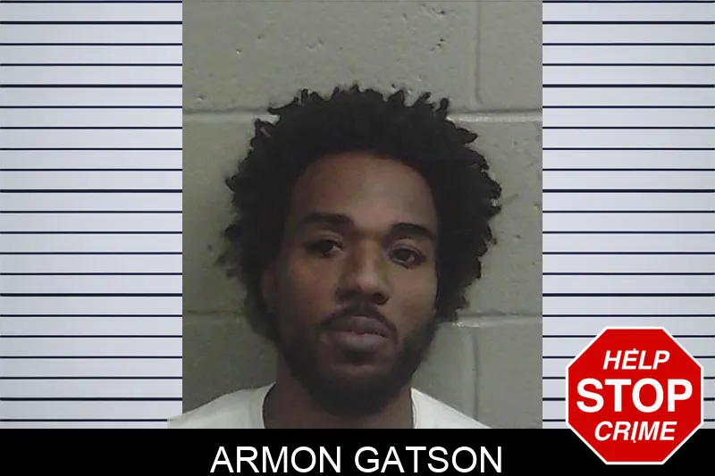 Armon Gatson mugshot – Wayne County , Georgia Armon Gatson mugshot