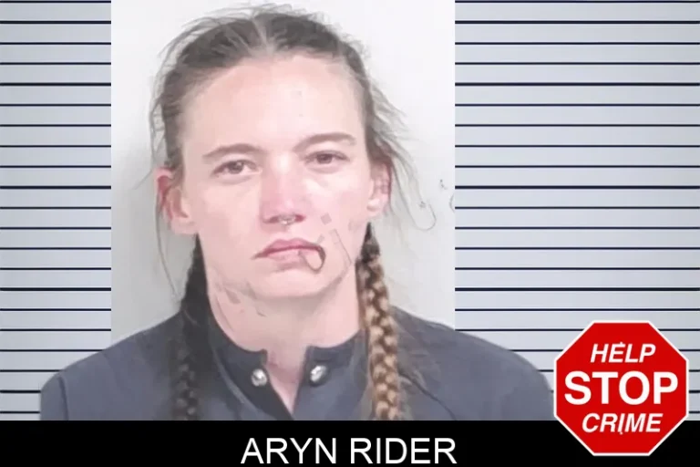 Aryn Rider mugshot – Lowndes County , Georgia Aryn Rider