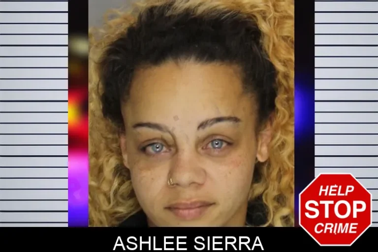 Ashlee Sierra mugshot – Cobb County , Georgia Ashlee Sierra