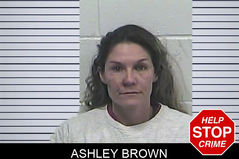 Ashley Brown Mugshots