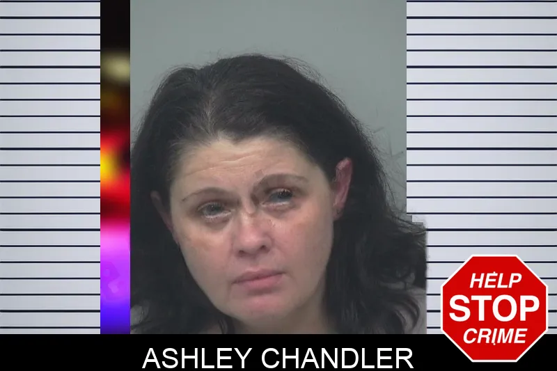 Ashley Chandler mugshot – Gwinnett County , Georgia Ashley Chandler mugshot