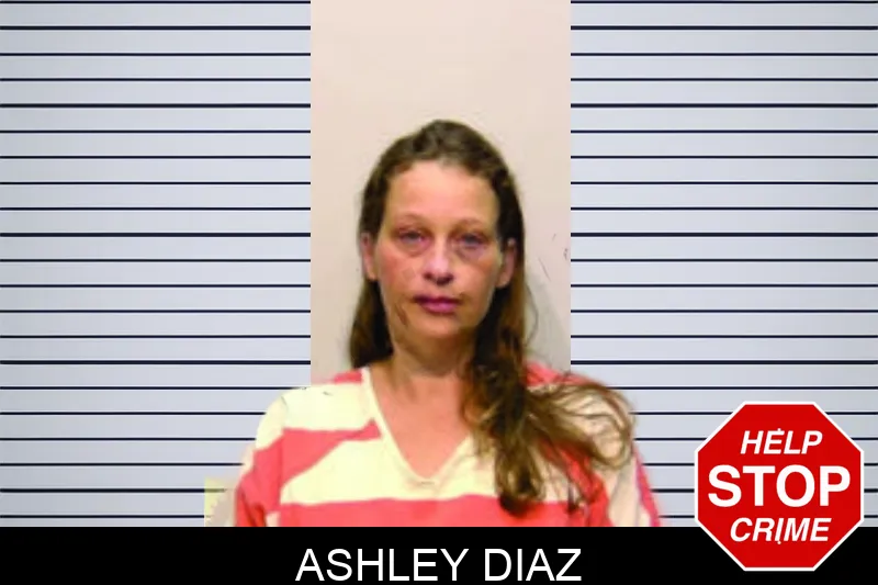 Ashley Diaz Mugshots