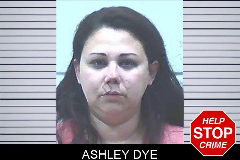 Ashley Dye Mugshots
