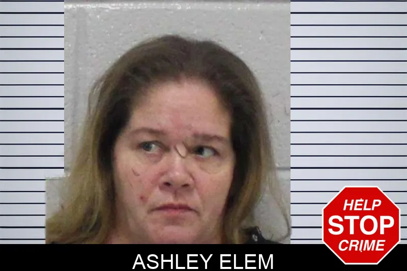 Ashley Elem Mugshots