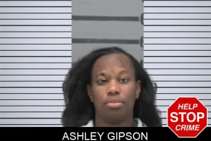 Ashley Gipson mugshot