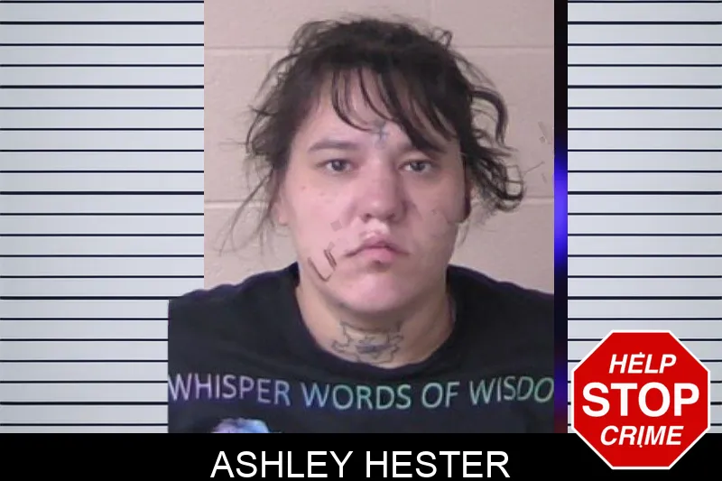 Ashley Hester Mugshots