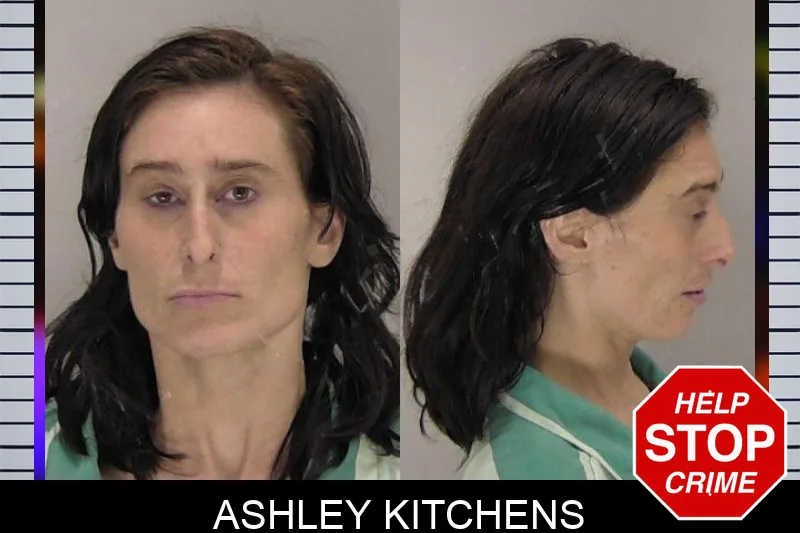 Ashley Kitchens mugshot