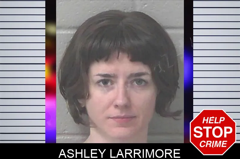 Ashley Larrimore Mugshots