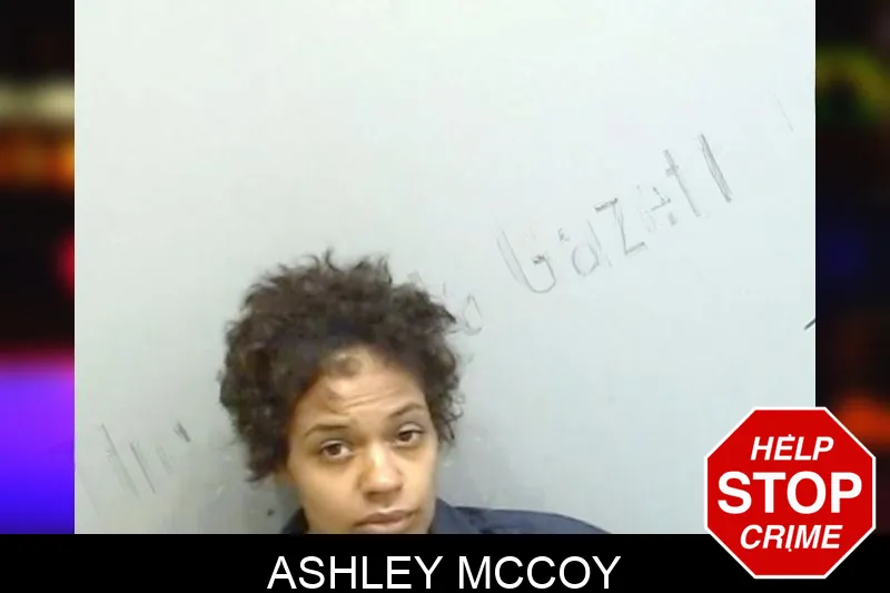 Ashley McCoy Mugshots