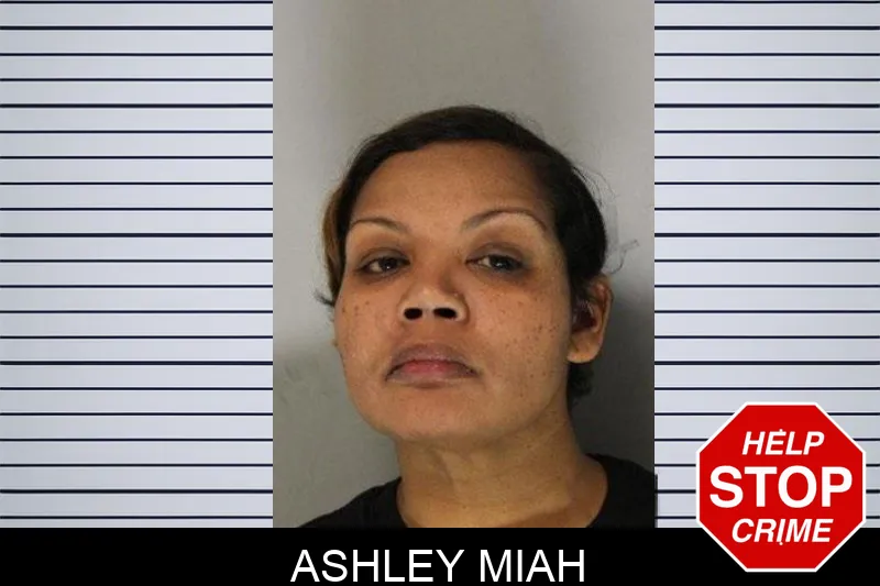 Ashley Miah Mugshots