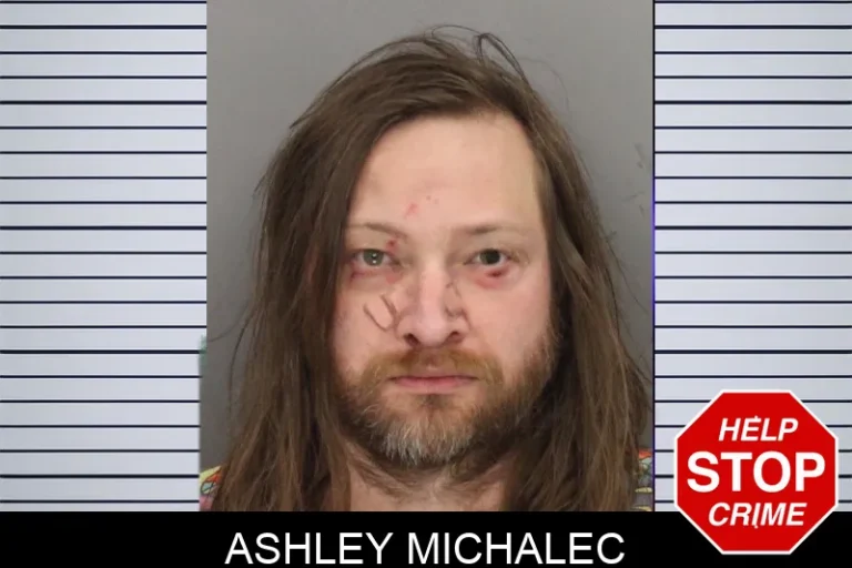 Ashley Michalec mugshot – Cobb County , Georgia Ashley Michalec