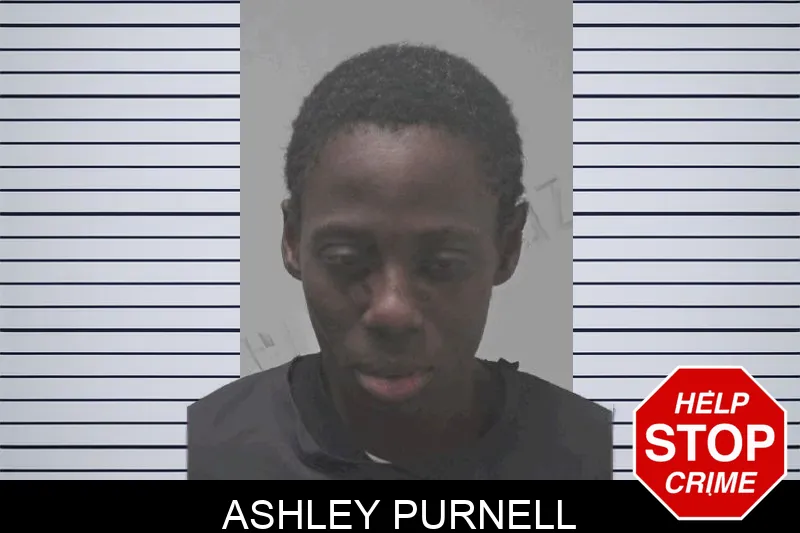 Ashley Purnell Mugshots