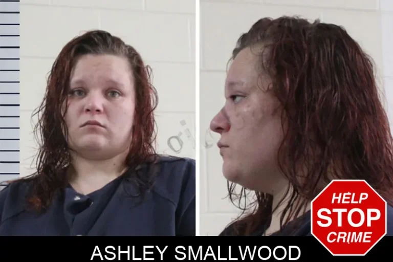 Ashley Smallwood mugshot – Houston County , Georgia Ashley Smallwood