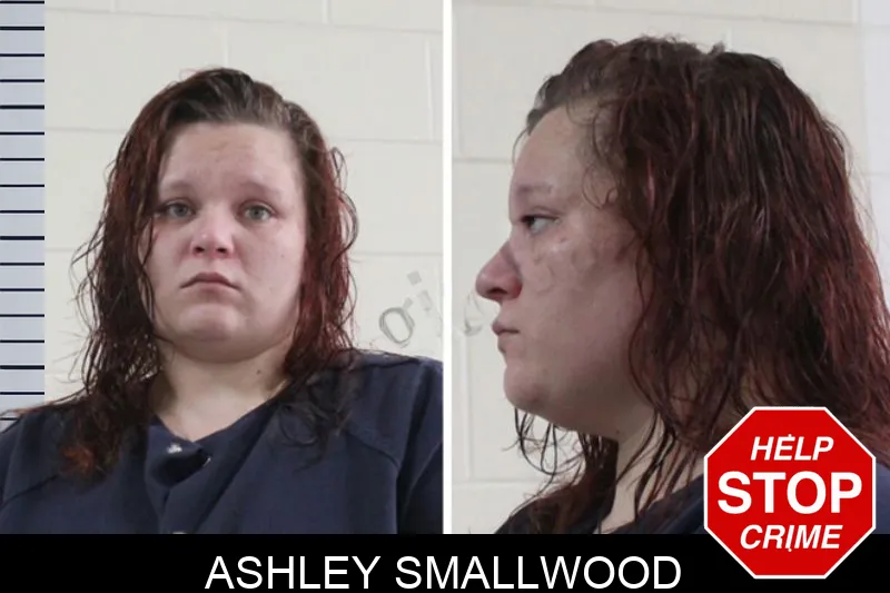 Ashley Smallwood mugshot – Houston County , Georgia Ashley Smallwood mugshot