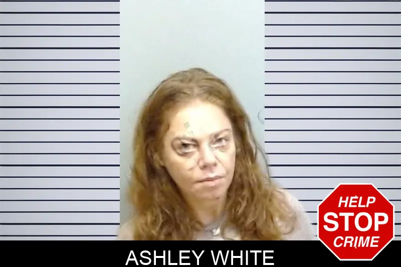 Ashley White mugshot – Fulton County , Georgia Ashley White mugshot