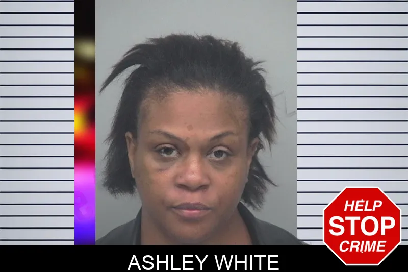 Ashley White mugshot – Gwinnett County , Georgia Ashley White mugshot