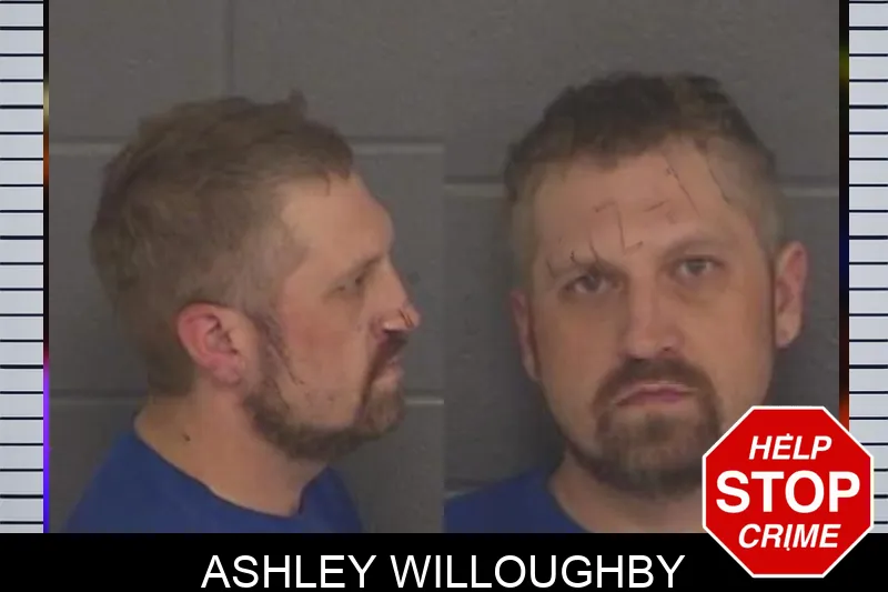 Ashley Willoughby Mugshots