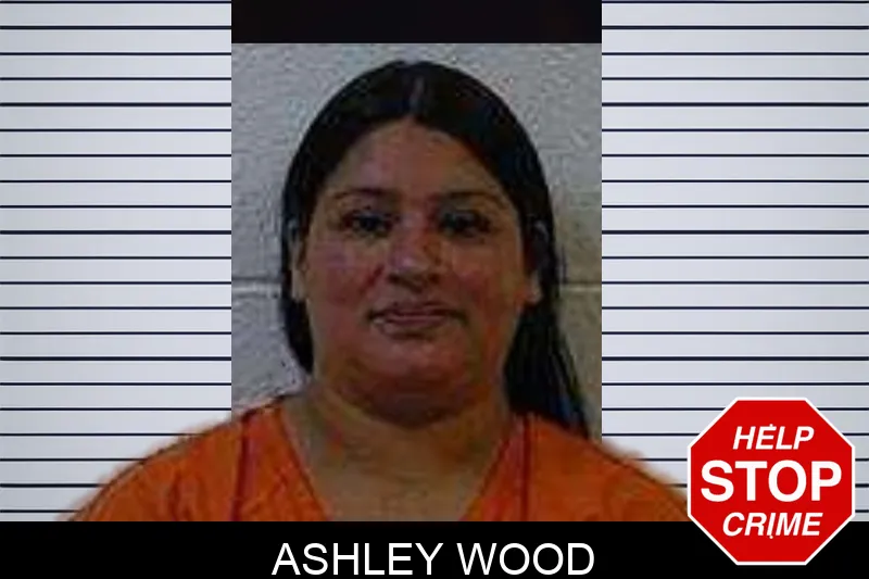 Ashley Wood Mugshots