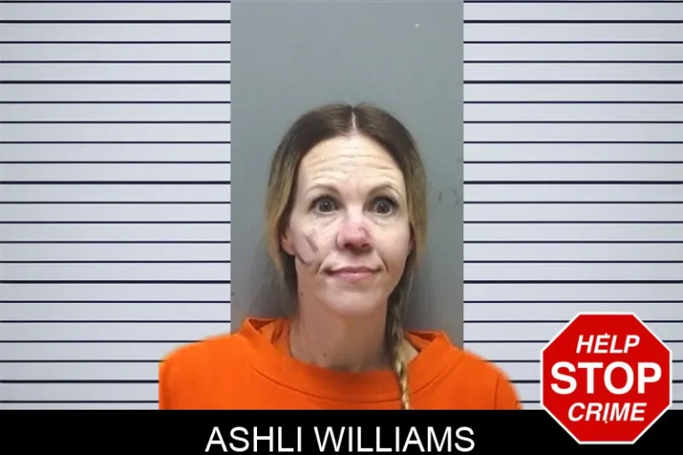 Ashli Williams mugshot – Cherokee County , Georgia Ashli Williams