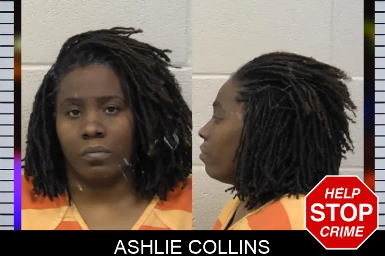 Ashlie Collins mugshot – Paulding County , Georgia Ashlie Collins