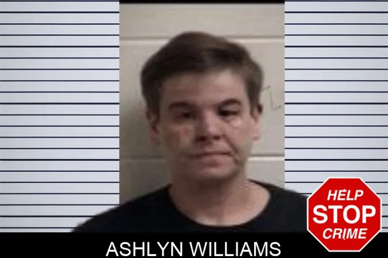 Ashlyn Williams mugshot – Henry County , Georgia Ashlyn Williams