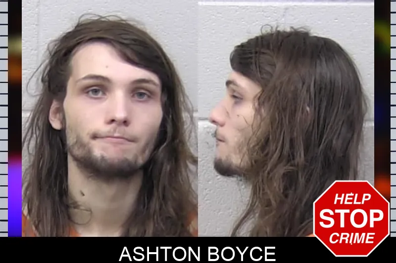 Ashton Boyce Mugshots