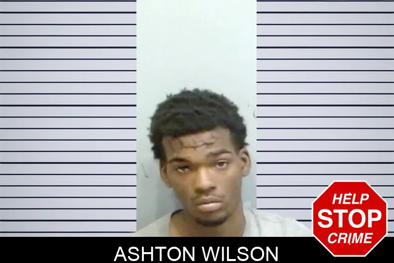 Ashton Wilson mugshot