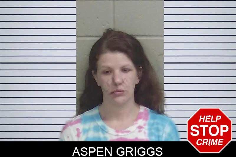 Aspen Griggs mugshot – Wayne County , Georgia Aspen Griggs mugshot