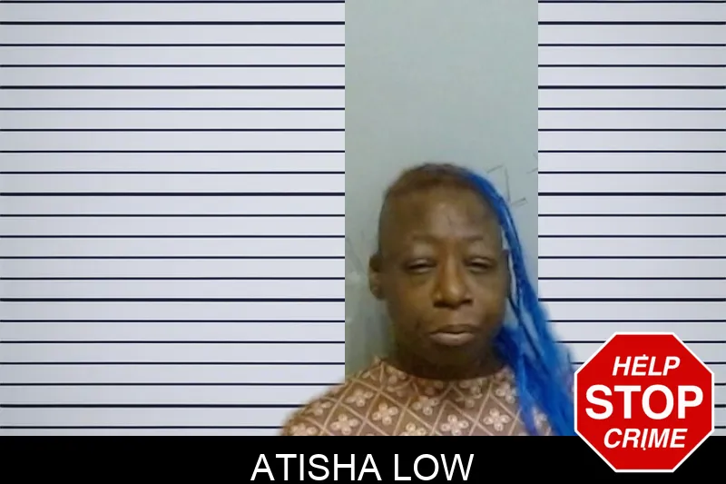 Atisha Low mugshot – Fulton County , Georgia Atisha Low mugshot