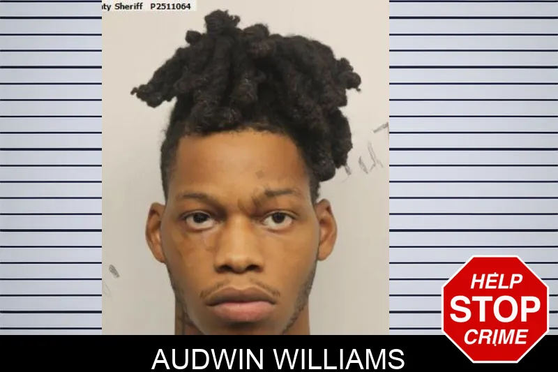 Audwin Williams mugshot