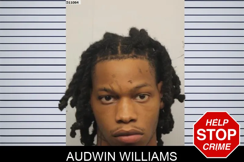 Audwin Williams
