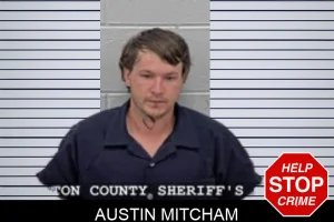 Austin Mitcham mugshot