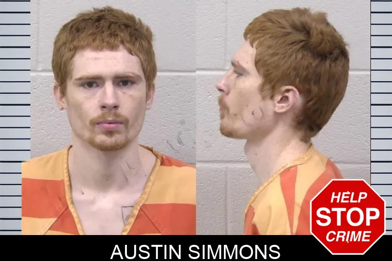 Austin Simmons Mugshots