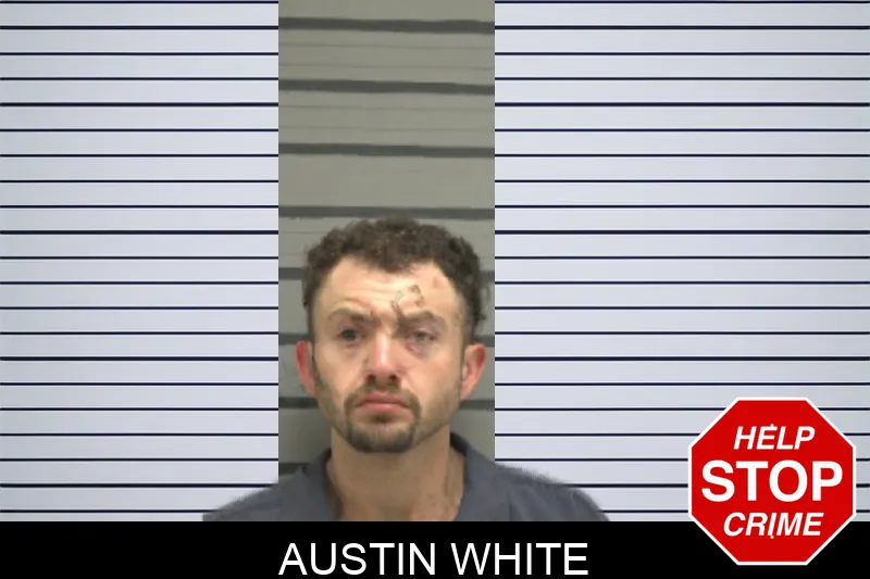Austin White