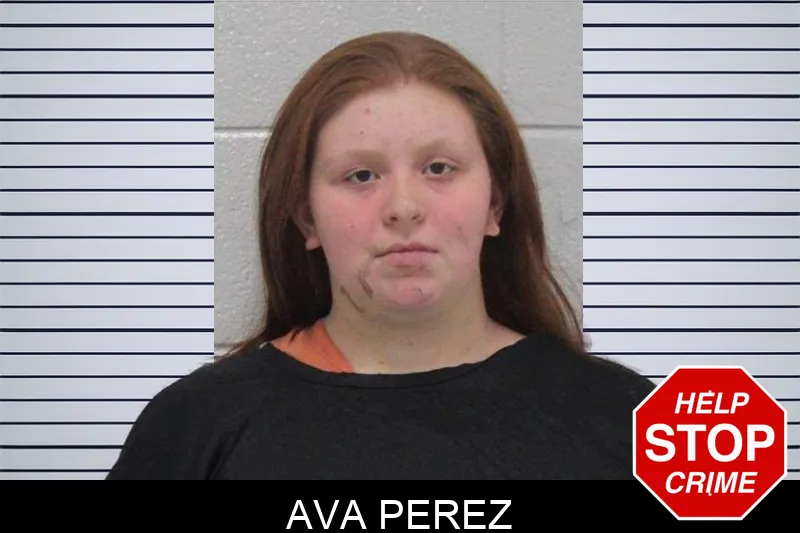 Ava Perez Mugshots