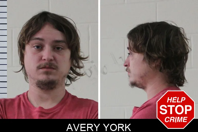 Avery York Mugshots